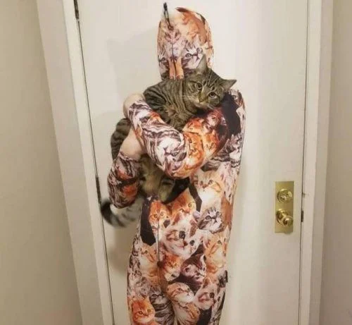 Почему в доме обязательно должен быть питомец: 18 фото, которые убедят вас