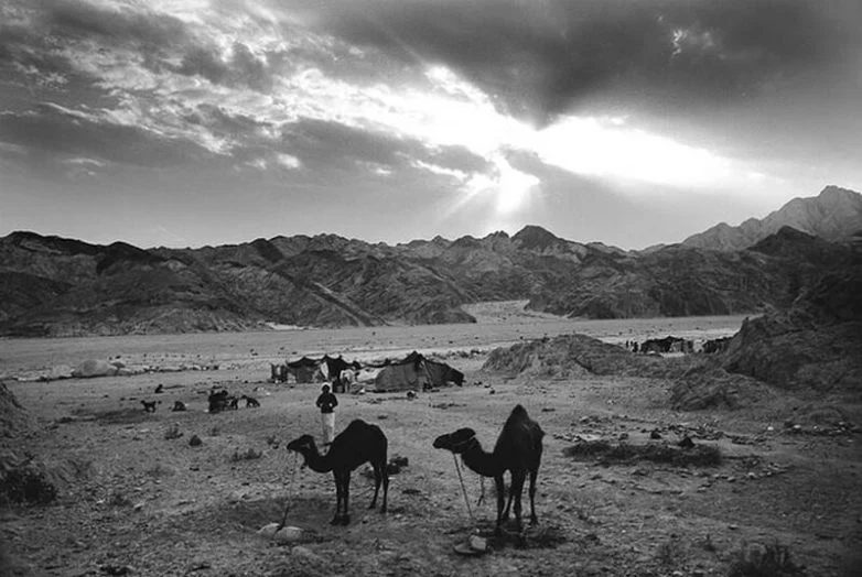 В стране кочевников: как ирландский фотограф сохраняет мир бедуинов