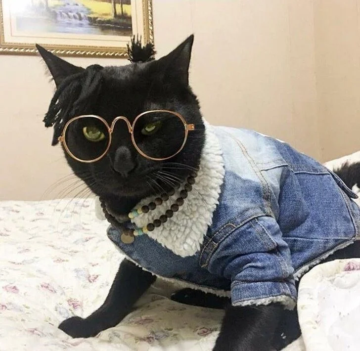 Лучшее лекарство от хандры: умилительные фото животных