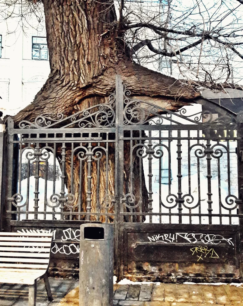 25 доказательств того, что наш мир полон неожиданных открытий 25 доказательств того, что наш мир полон неожиданных открытий