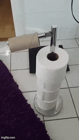 Гифки, которые заставят улыбнуться: 15 забавных анимаций для отличного настроения