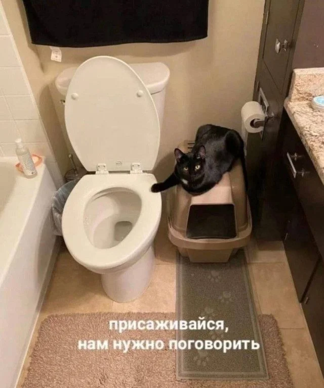 Свежая порция мемов для быстрого перерыва