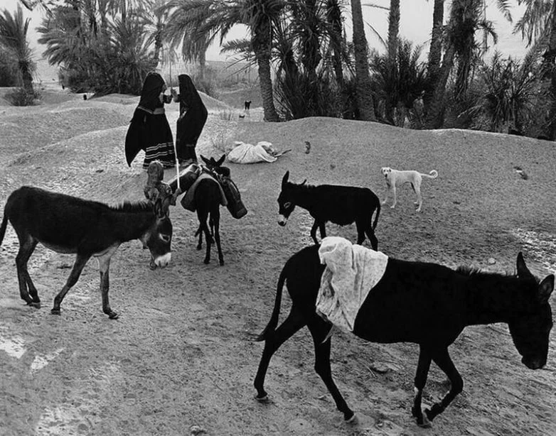 В стране кочевников: как ирландский фотограф сохраняет мир бедуинов