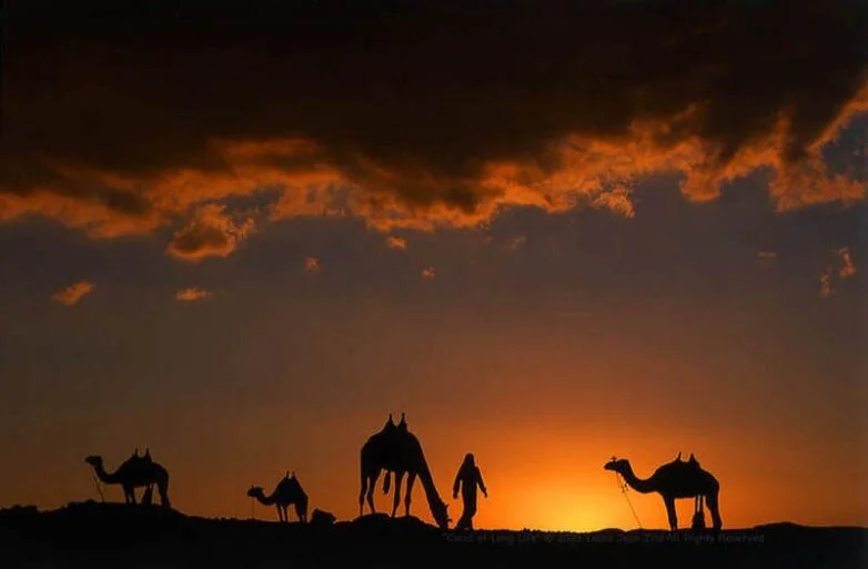 В стране кочевников: как ирландский фотограф сохраняет мир бедуинов