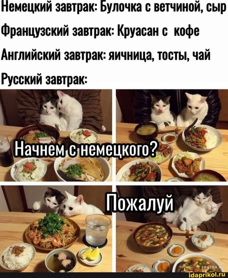 Весенний хайп: самые свежие и смешные мемы марта 2026 года