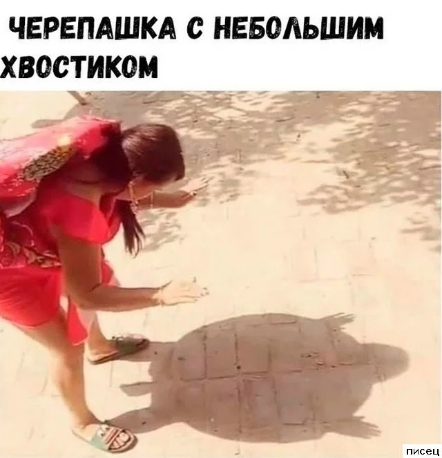 Случайная подборка для хорошего настроения