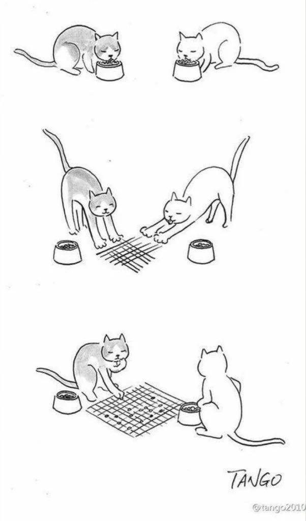 Свежая порция мемов для быстрого перерыва