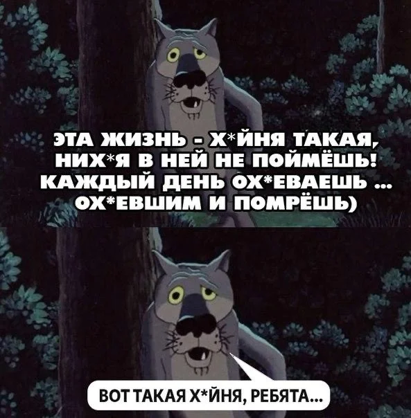 Смех до слёз: лучшие мемы и шутки для отличного дня