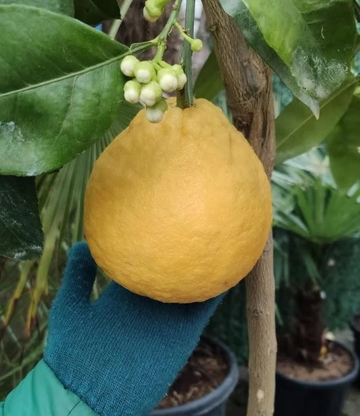 25 доказательств того, что наш мир полон неожиданных открытий 25 доказательств того, что наш мир полон неожиданных открытий