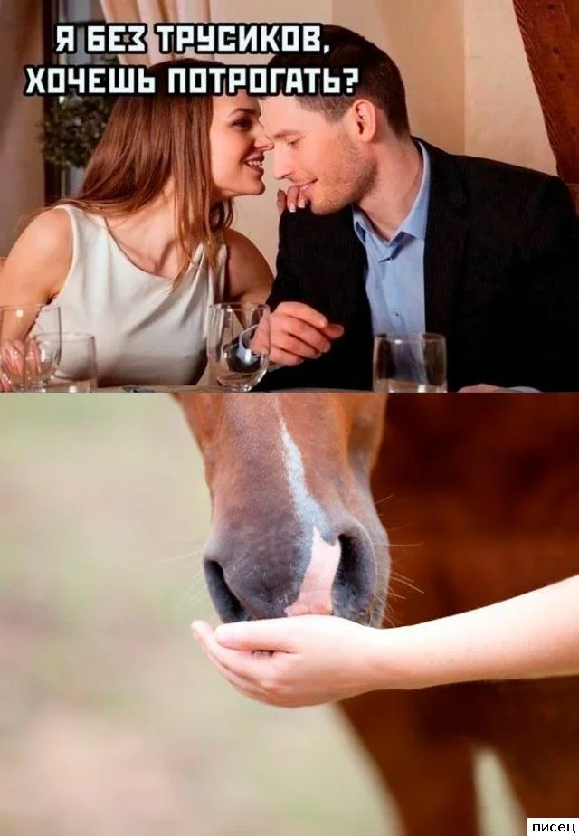 Когда мужчина уверен, что снялся идеально: 20 фото, от которых смешно