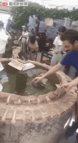 Гифки, которые заставят улыбнуться: 15 забавных анимаций для отличного настроения