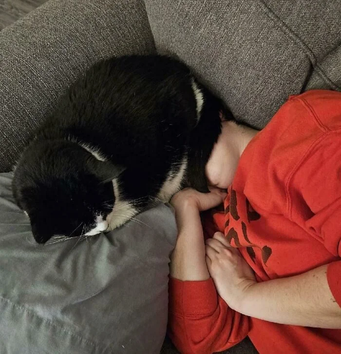 Личное пространство? Не слышали! 17 фото о том, как питомцы его игнорируют