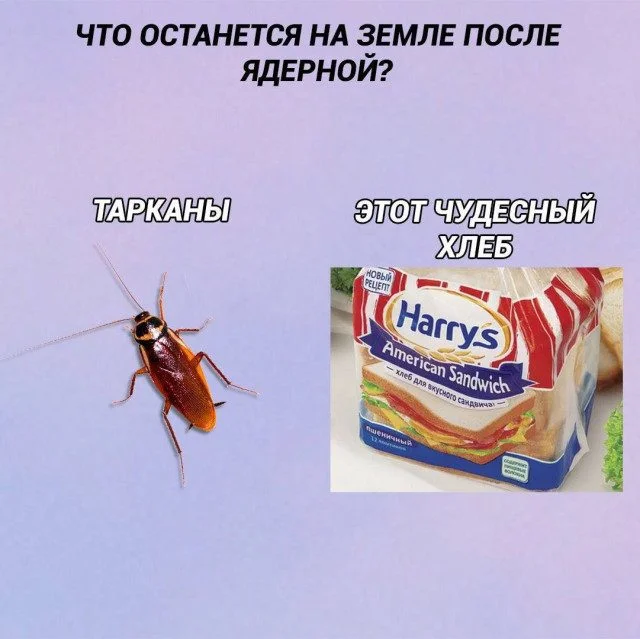 Смешная подборка мемов на любой вкус