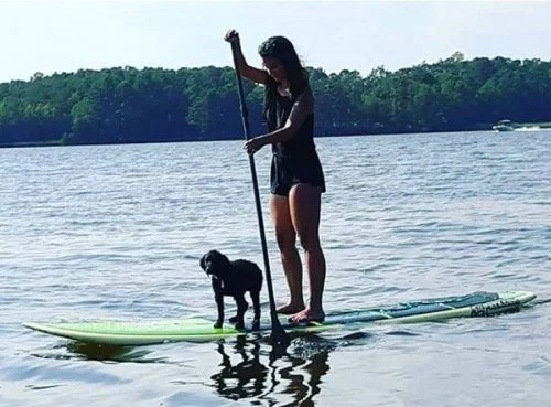 Почему в доме обязательно должен быть питомец: 18 фото, которые убедят вас