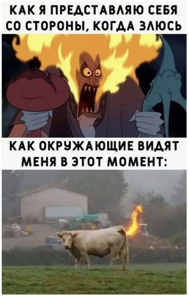 Смешная подборка мемов на любой вкус