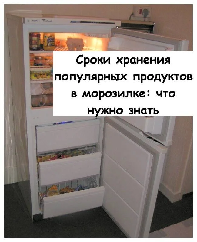 Сколько можно хранить продукты в морозилке: сроки и правила заморозки