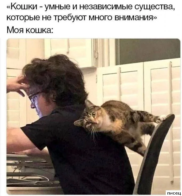 Случайная подборка для хорошего настроения