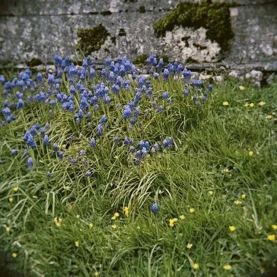 Паулина Андреева показала лондонские будни после развода с Бондарчуком