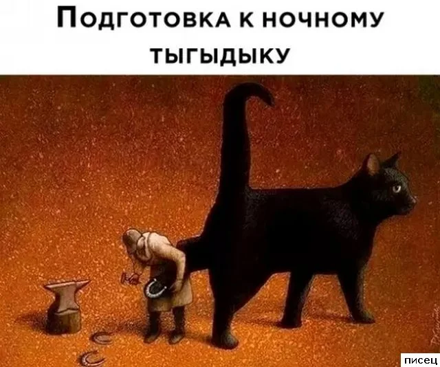 Случайная подборка для хорошего настроения