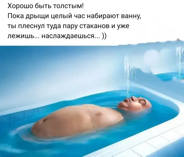 Забавные истории из жизни: от кота на ступеньках до говорящего попугая