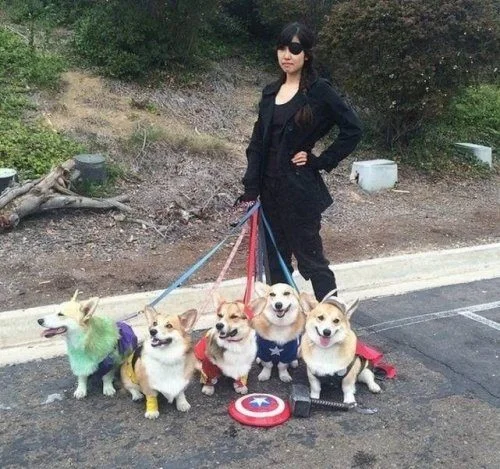 Почему в доме обязательно должен быть питомец: 18 фото, которые убедят вас