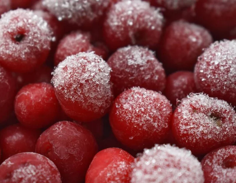 Сколько можно хранить продукты в морозилке: сроки и правила заморозки