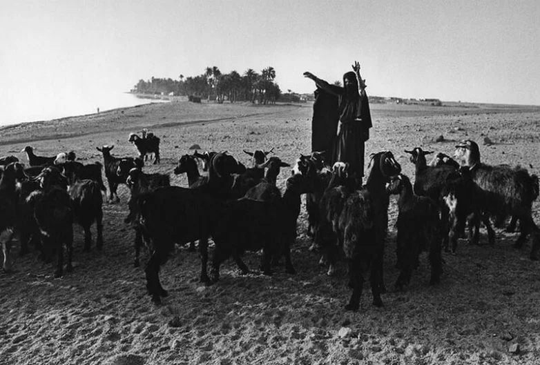В стране кочевников: как ирландский фотограф сохраняет мир бедуинов
