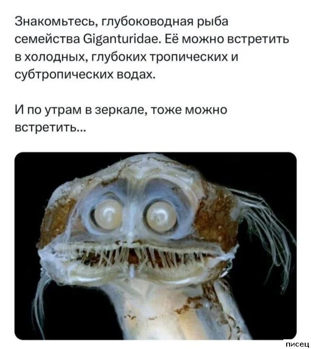 Случайная подборка для хорошего настроения