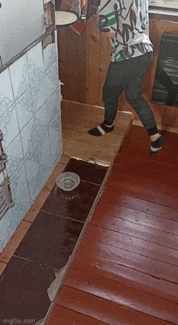 Гифки, которые заставят улыбнуться: 15 забавных анимаций для отличного настроения