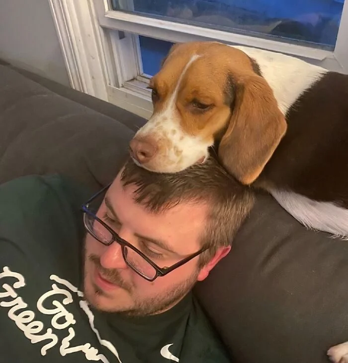 Личное пространство? Не слышали! 17 фото о том, как питомцы его игнорируют