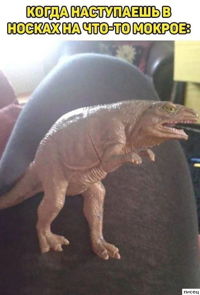 Смешные приколы Писца на тему «Когда»