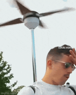 Гифки, которые заставят улыбнуться: 15 забавных анимаций для отличного настроения