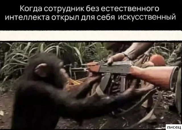 Работа не волк: смешные фото с рабочих мест