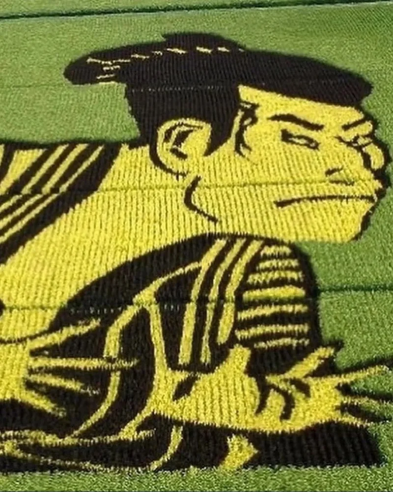 Живые картины: как рисовые поля в Японии превращаются в произведения искусства