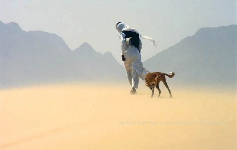 В стране кочевников: как ирландский фотограф сохраняет мир бедуинов