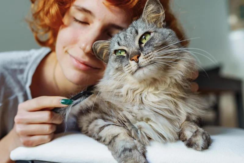 Кто эмоциональнее: собаки или кошки? Научный взгляд на мимику питомцев