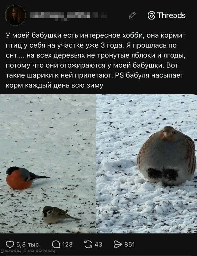 Свежая порция мемов для быстрого перерыва