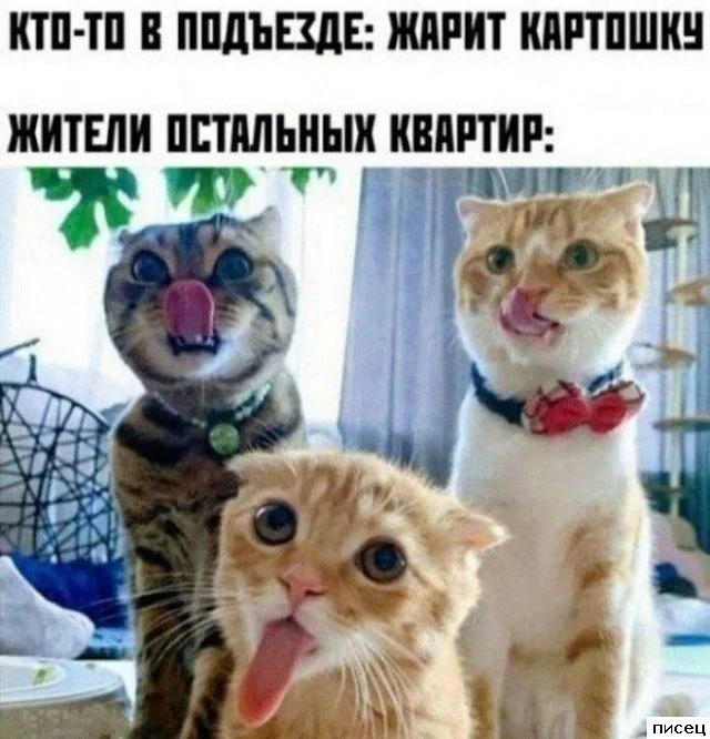 Случайная подборка для хорошего настроения