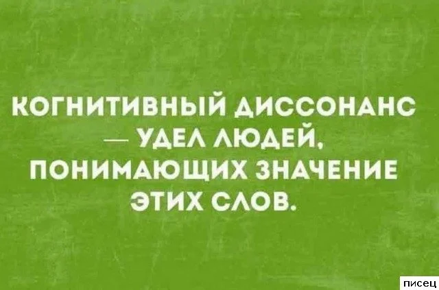 Цитаты, которые попали прямо в точку