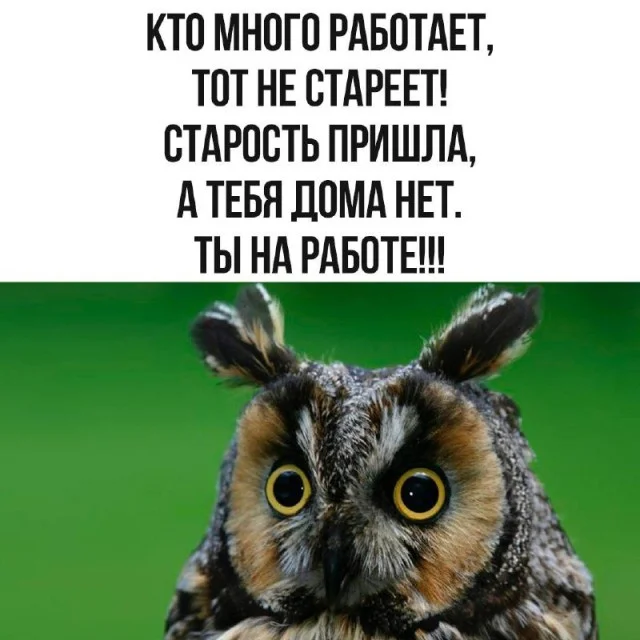 Смех до слёз: лучшие мемы и шутки для отличного дня