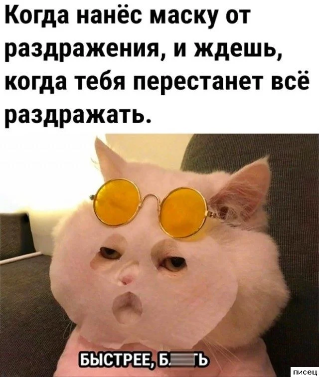 Смешные приколы Писца на тему «Когда»