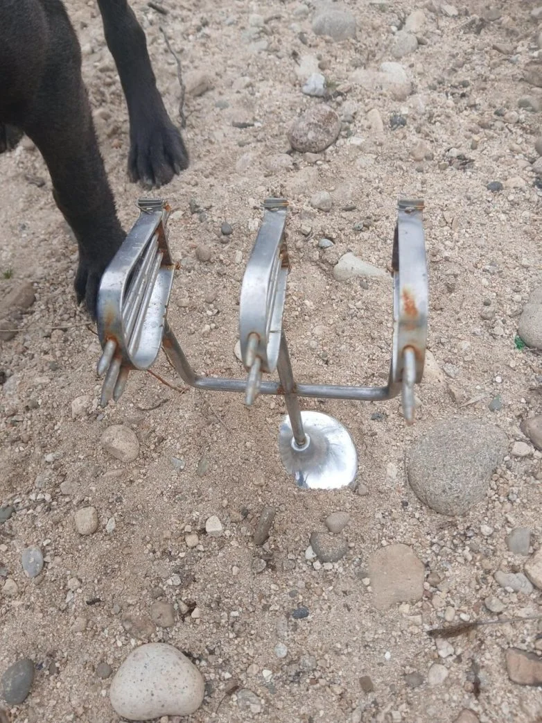 Странные вещи, в которых разобрался интернет: от шаров до лампы Бетти