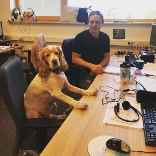 Почему в доме обязательно должен быть питомец: 18 фото, которые убедят вас