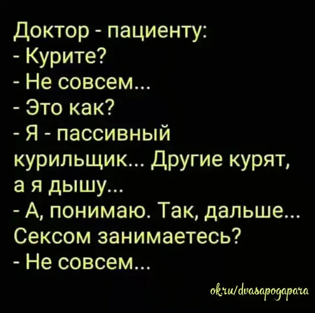 Забавные истории из жизни: от кота на ступеньках до говорящего попугая