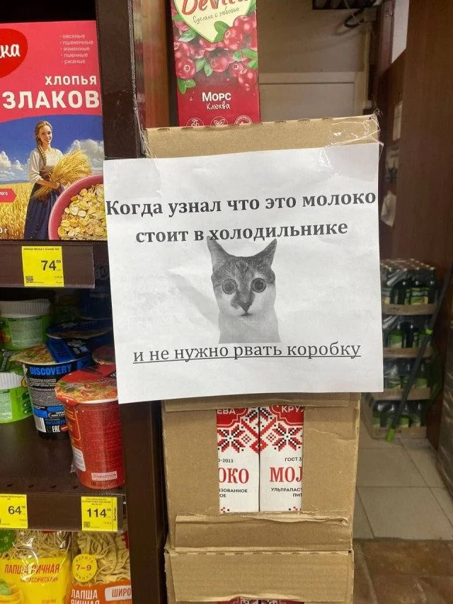 Свежая порция мемов для быстрого перерыва