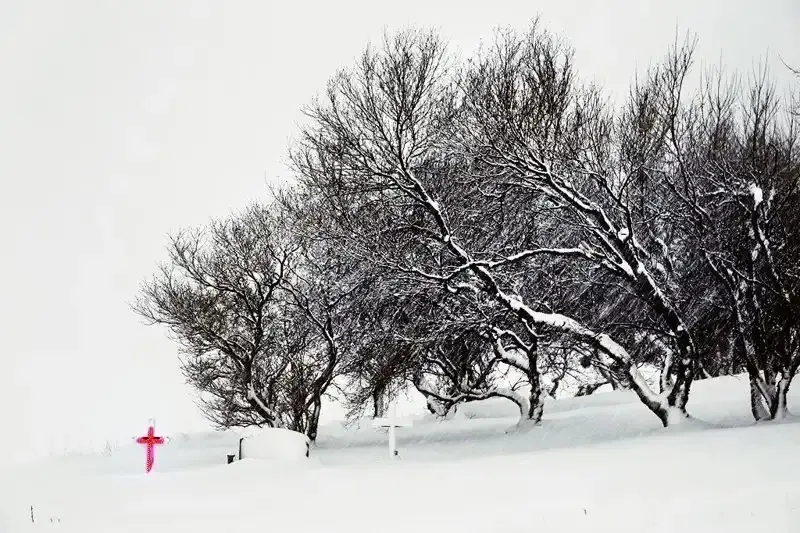 Три года в царстве снега: Французский фотограф и его путешествие за исчезающей зимой