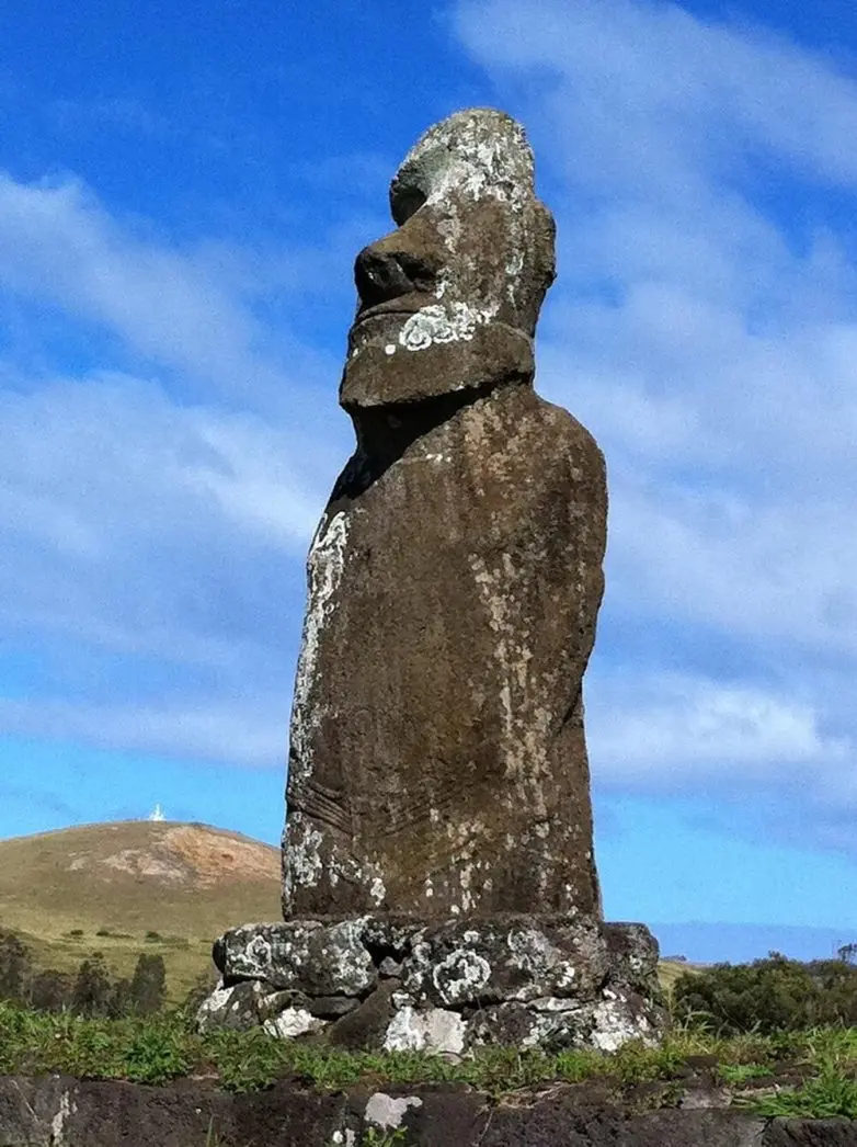 Сокровища за стеклом: 20 музейных экспонатов, которые вы не найдёте в учебниках