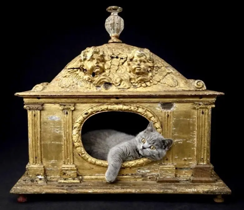 Сокровища за стеклом: 20 музейных экспонатов, которые вы не найдёте в учебниках