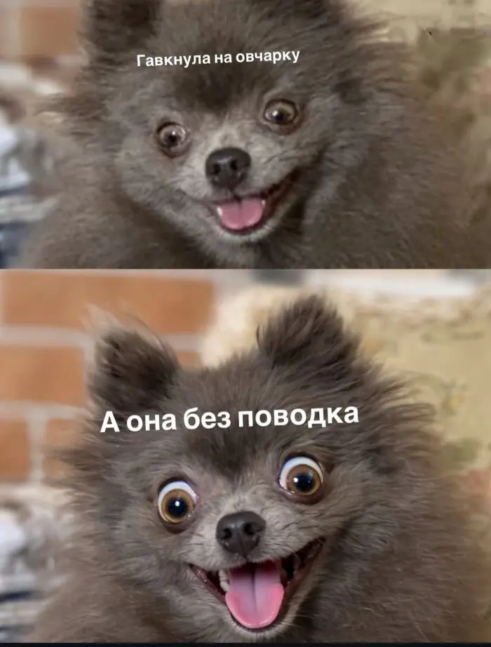 Пятничный заряд позитива: свежие мемы и шутки