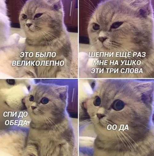 Пятничный заряд позитива: свежие мемы и шутки